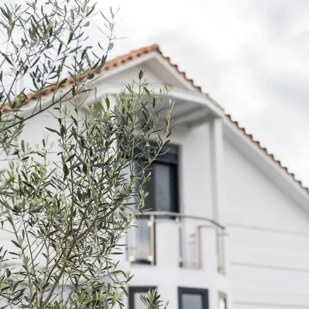 Sunset Albatross Villa *