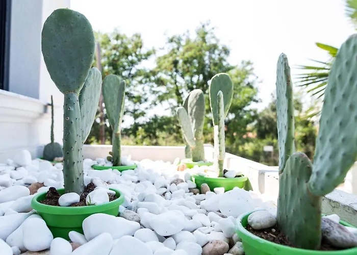 Villa Sunset Albatross *