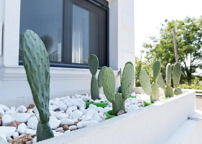 Sunset Albatross Villa