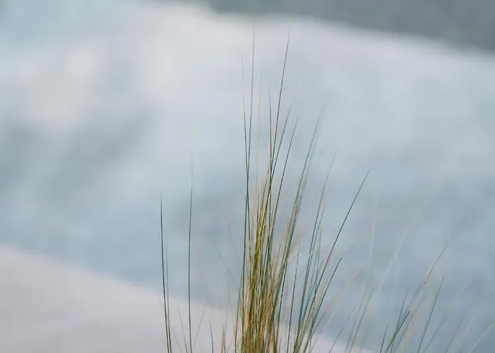 Sunset Albatross Nea Poteidaia