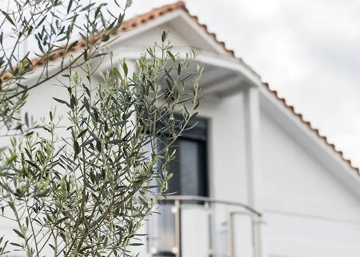 Sunset Albatross Villa *