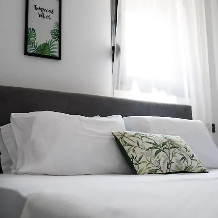 Sunset Albatross *