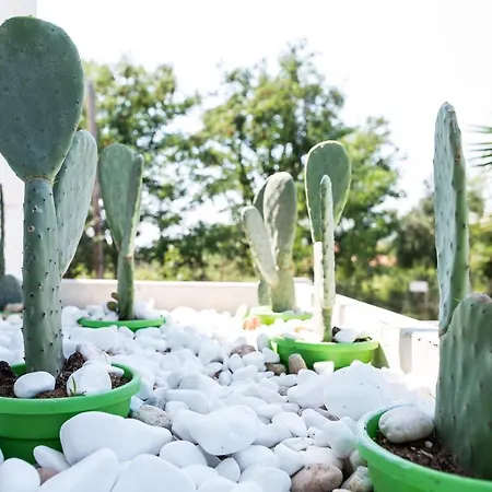 Βίλα Sunset Albatross *