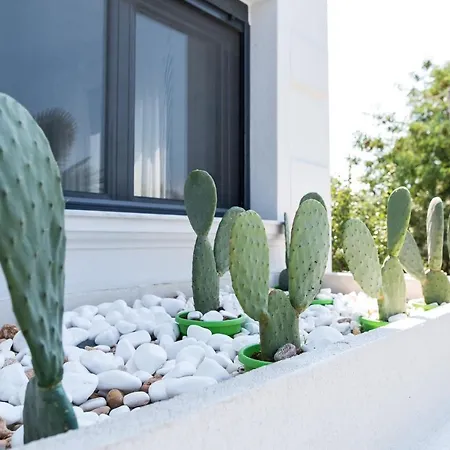 Sunset Albatross Βίλα