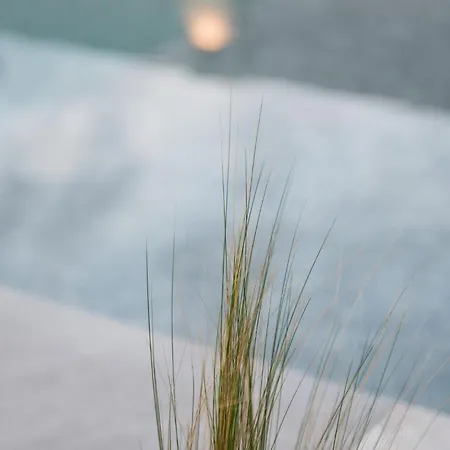 Sunset Albatross Νέα Ποτίδαια